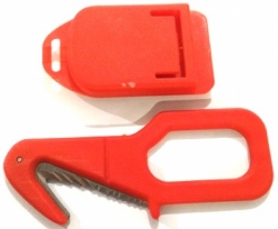 large P 20180121 162944