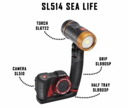large SEALIFE