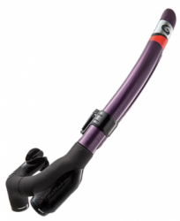 large gs3179 evnpurple