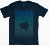 mola mola  medium