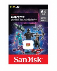 sandisk  large